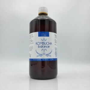 Home 5 Thylbert Kombucha Balance